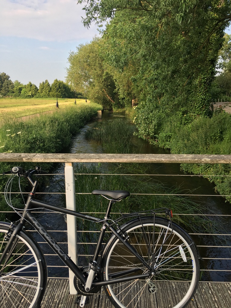 Bike Tour